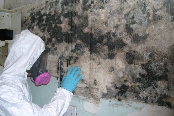 mold removal prineville, or