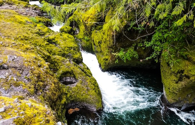 Exploring nature next to La Pine, OR