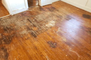 Discolored and soft flooring caused by crawl space moisture damage