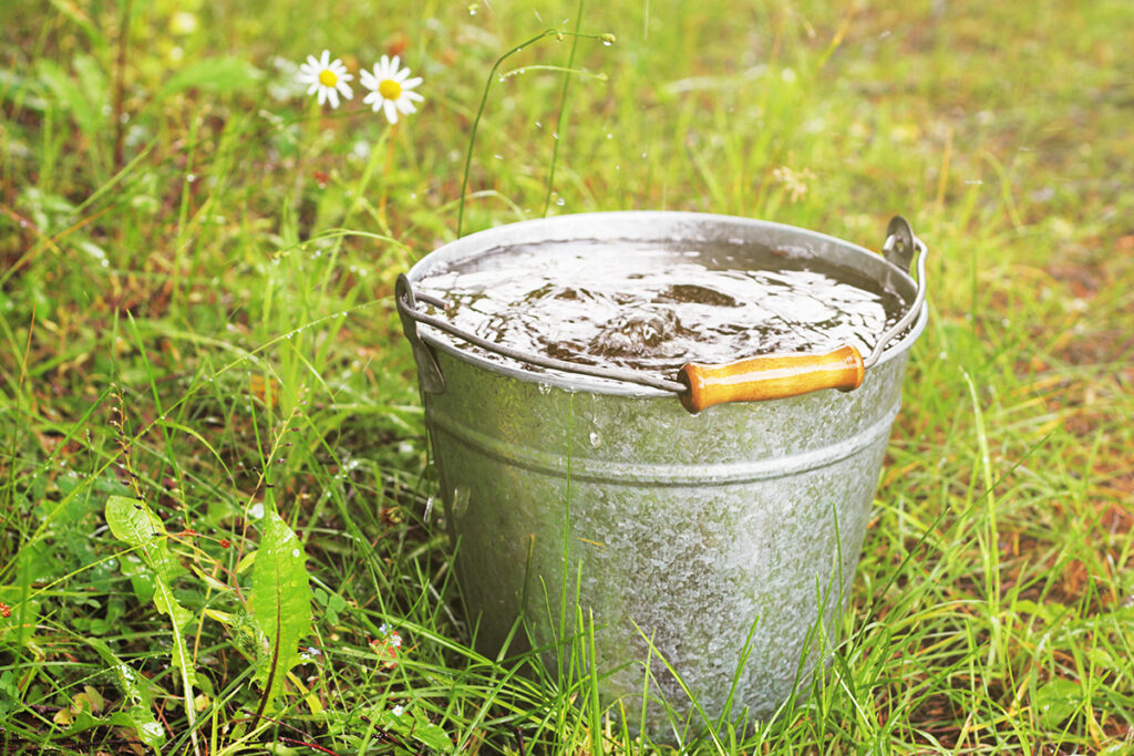 Bucket of Water - Safety Tip For Fourth of July