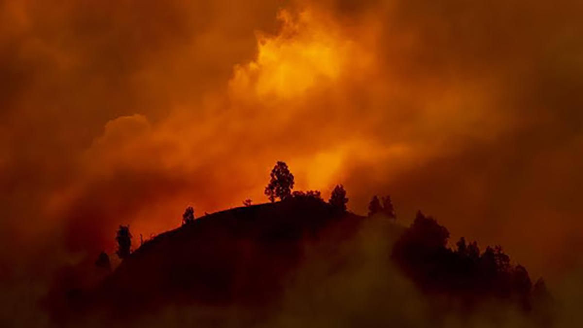 Flat Fire in Sisters Oregon