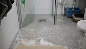 Bathroom Toilet Flood