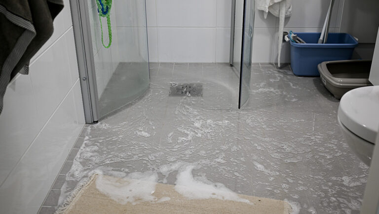 Bathroom Toilet Flood