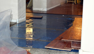 CODR Sewage Backup Cleanup Experts