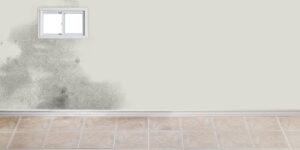 Signs of Water Damage in Your Home - Stains, Discoloration and Mold