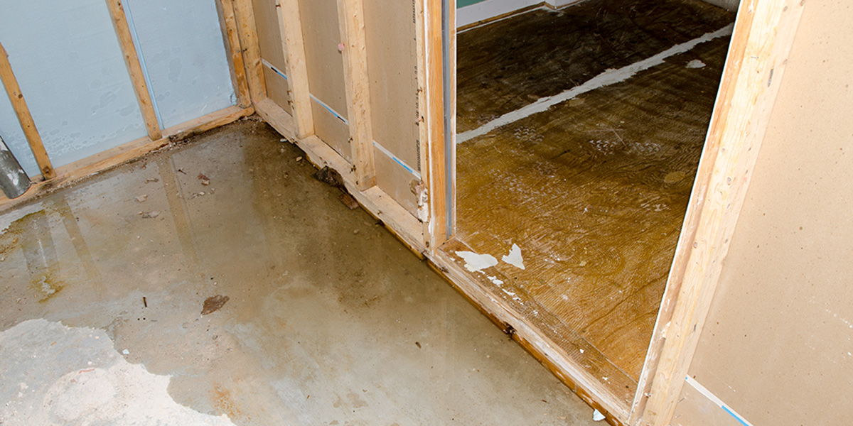 How Fast Water Damage Leads to Mold Growth in Central Oregon - CODR