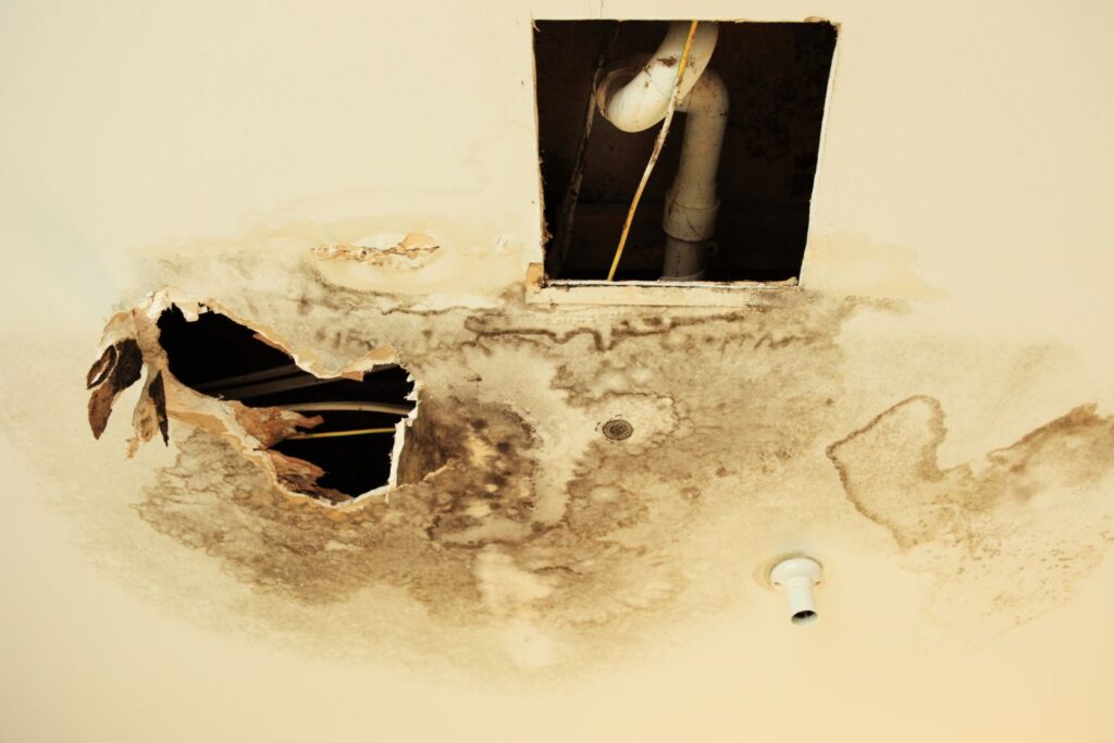 Ceiling Stains After Snow Oregon Residents Should Not Ignore