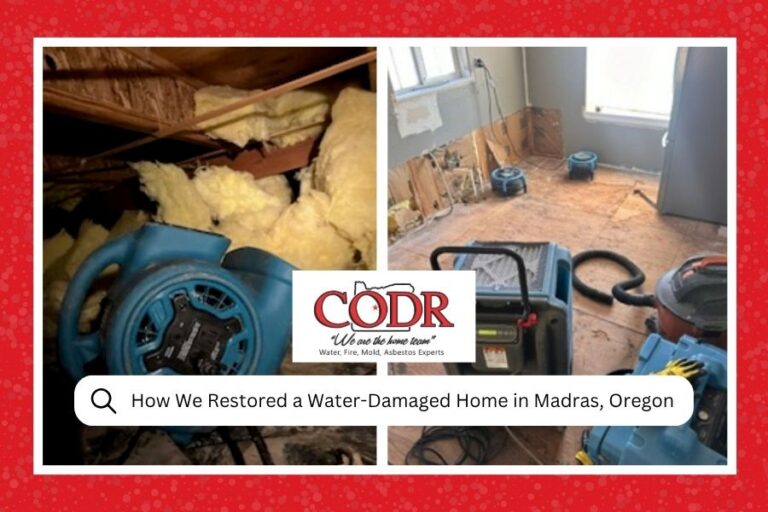From Crawlspace to Kitchen How We Restored a Water-Damaged Home in Madras, Oregon