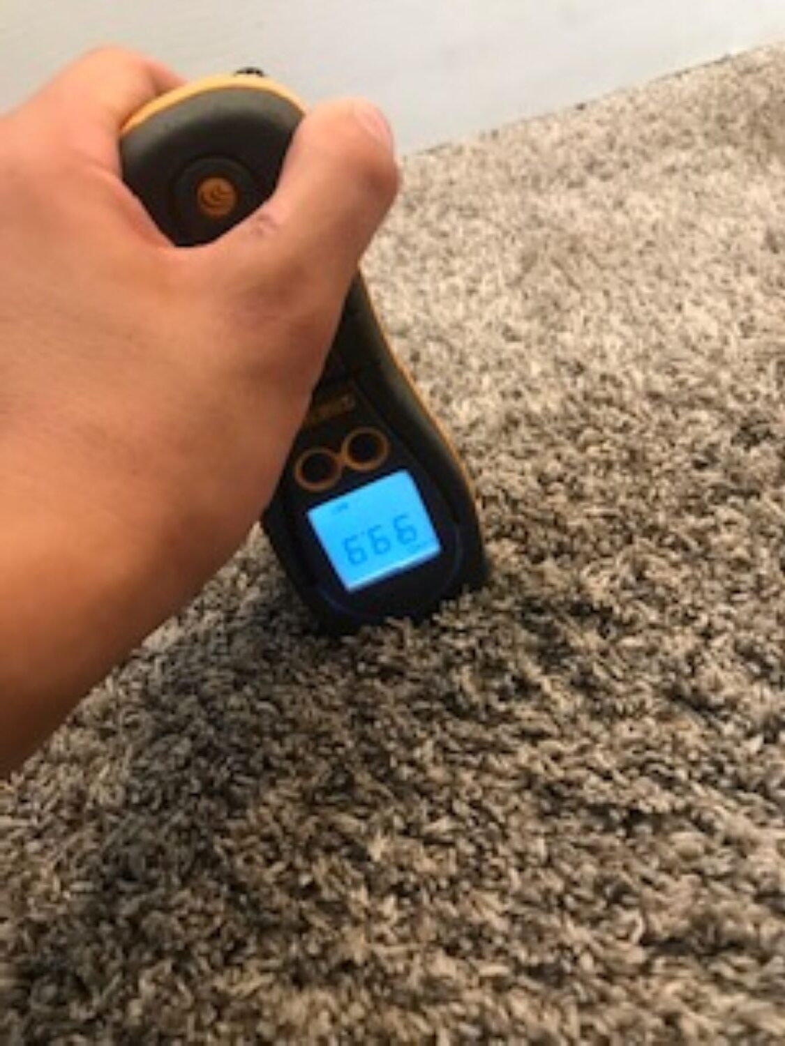 Technician taking carpet moisture readings during water damage inspection