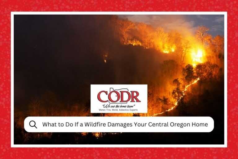 What to Do If a Wildfire Damages Your Central Oregon Home