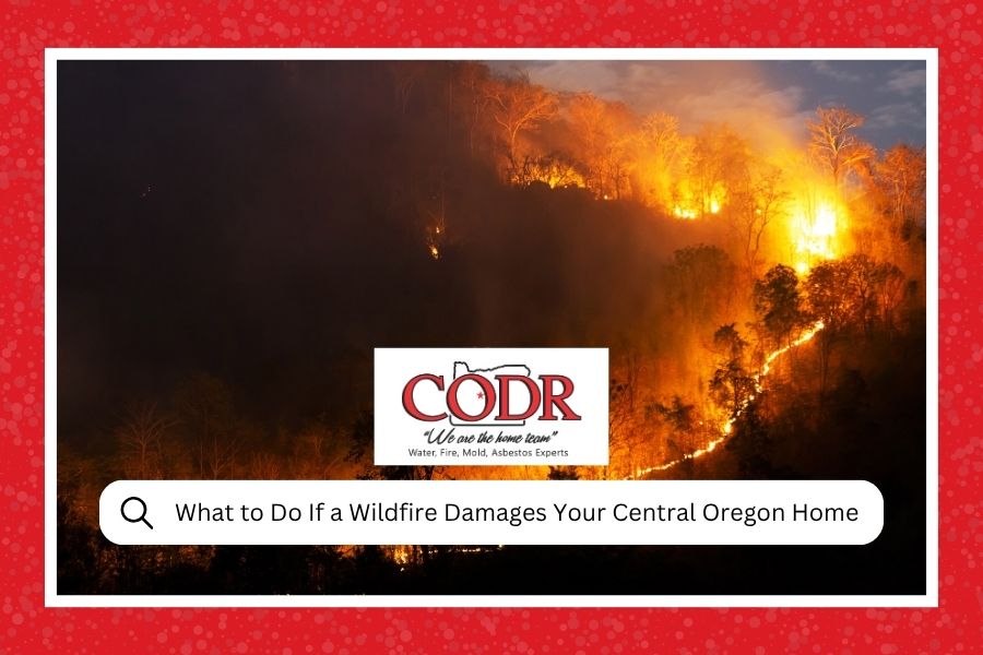 What to Do If a Wildfire Damages Your Central Oregon Home
