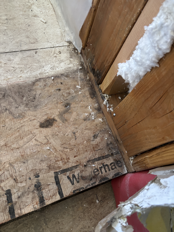 Bathroom floor demo in progress showing tile and mortar bed removal
