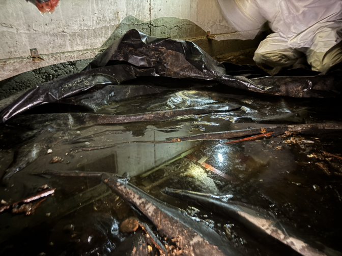 Wet crawlspace conditions showing water intrusion under bathroom subfloor