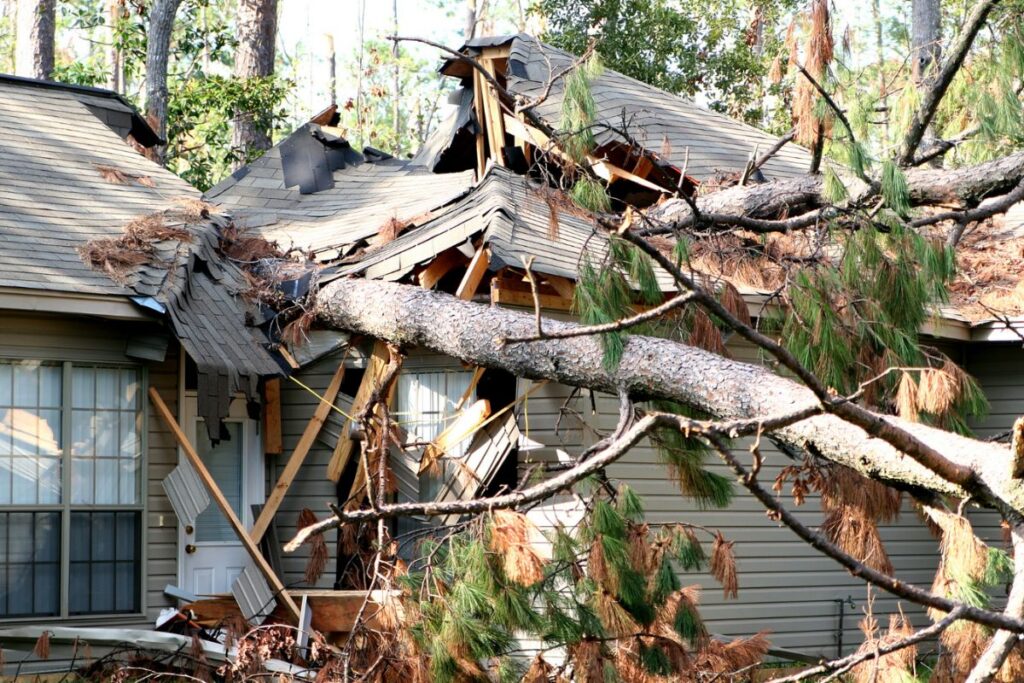 Why Acting Fast After a Storm Changes the Outcome