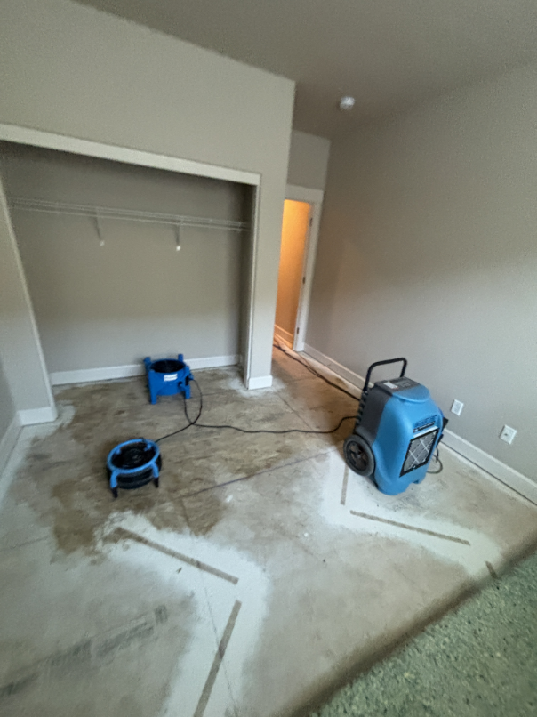 Drying equipment monitored with daily moisture readings