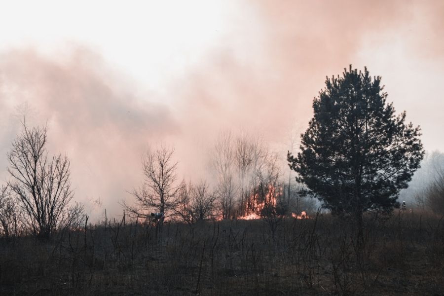 Smoke and soot damage on interior surfaces of a Central Oregon home after wildfire