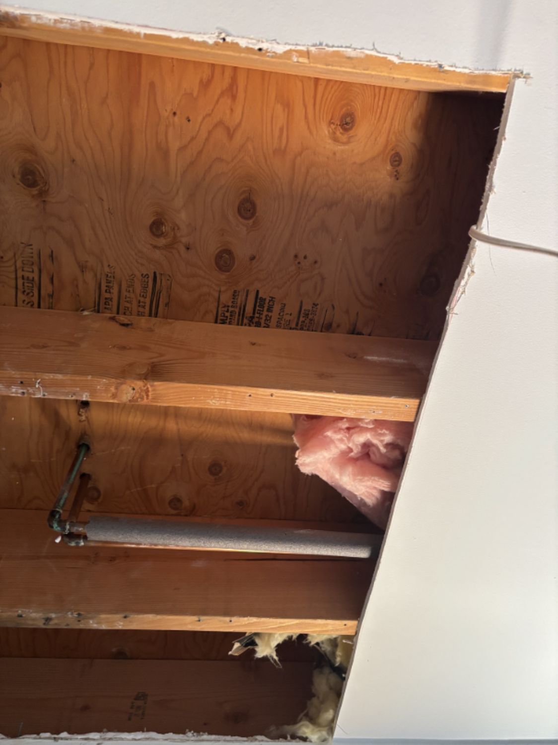Dining room ceiling after drywall and insulation removal during mitigation